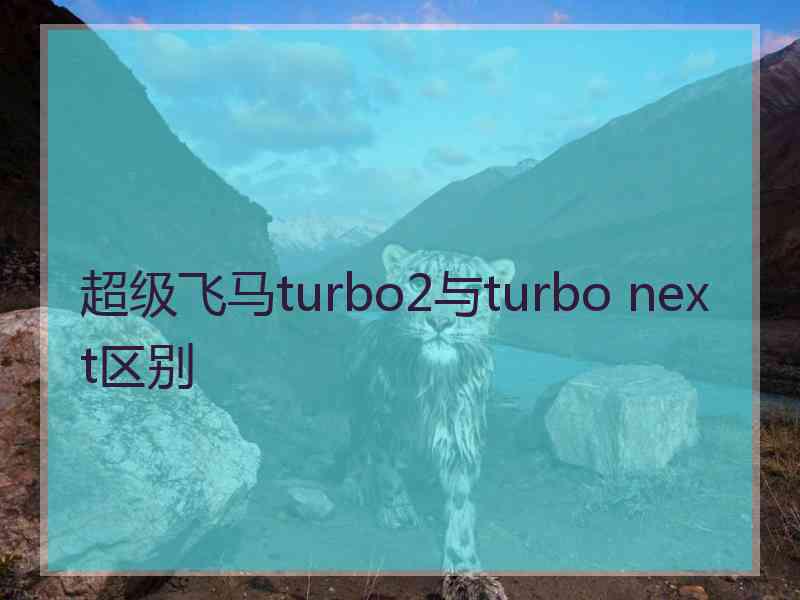 超级飞马turbo2与turbo next区别