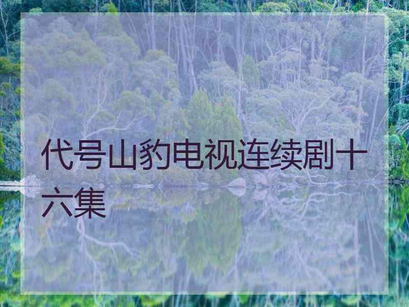 代号山豹电视连续剧十六集