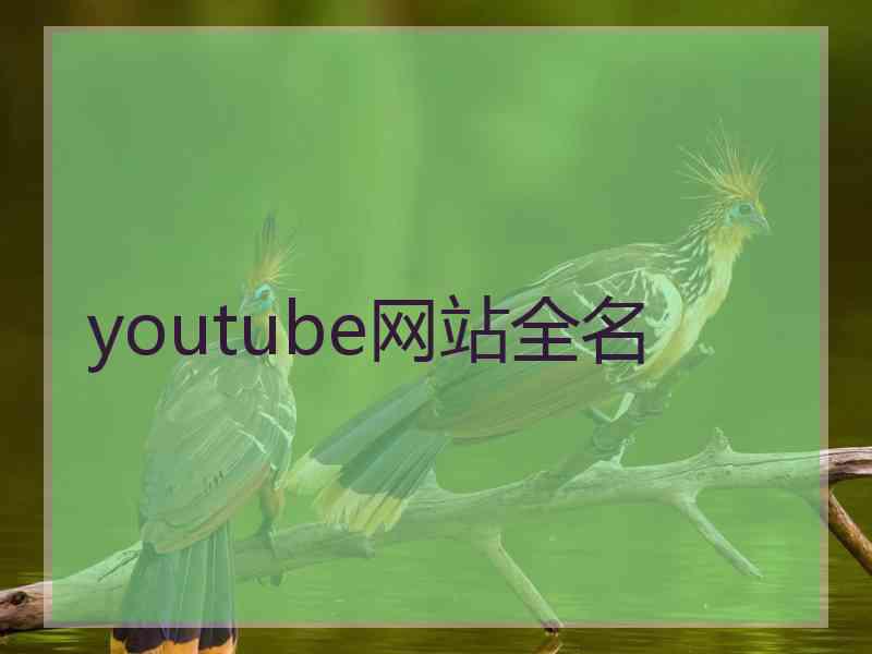 youtube网站全名