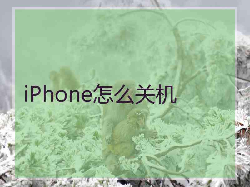 iPhone怎么关机