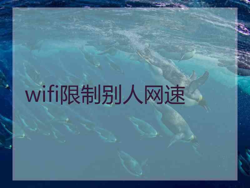 wifi限制别人网速