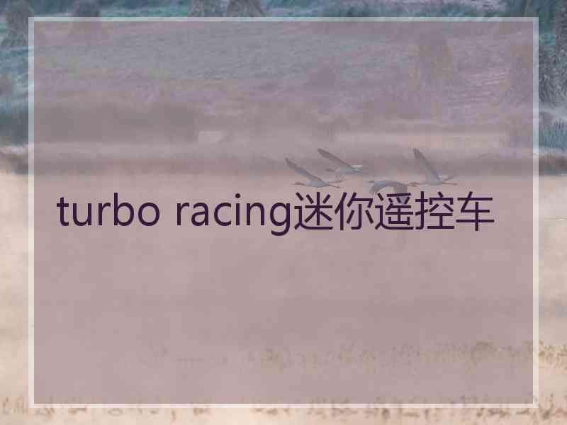 turbo racing迷你遥控车