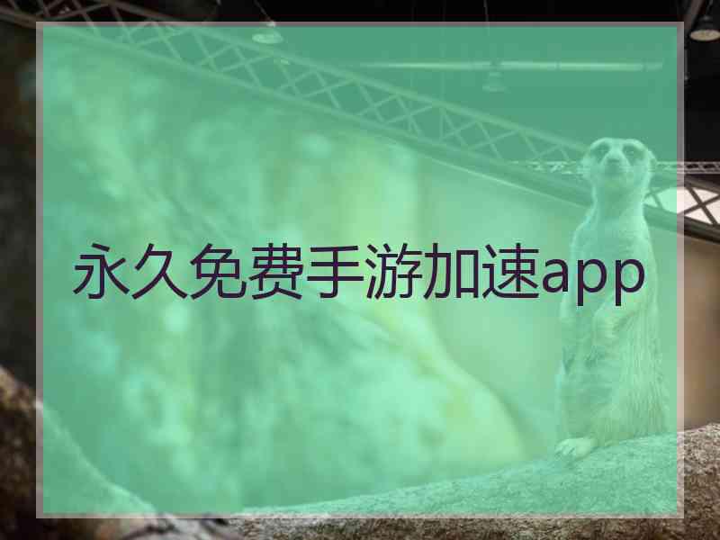 永久免费手游加速app