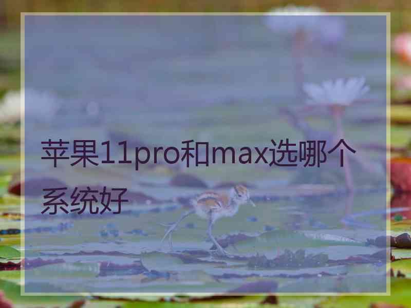 苹果11pro和max选哪个系统好