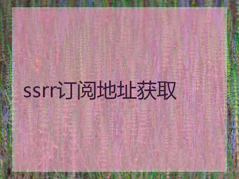 ssrr订阅地址获取