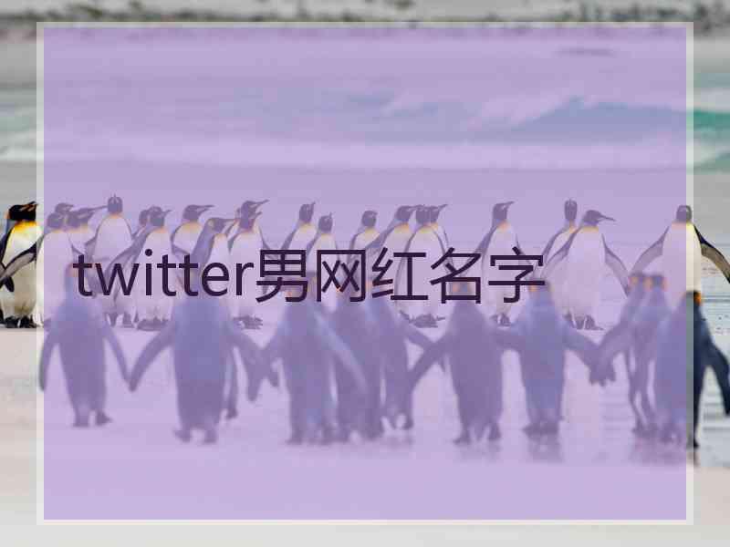 twitter男网红名字