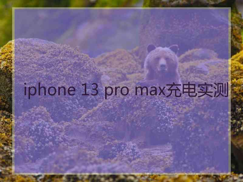 iphone 13 pro max充电实测