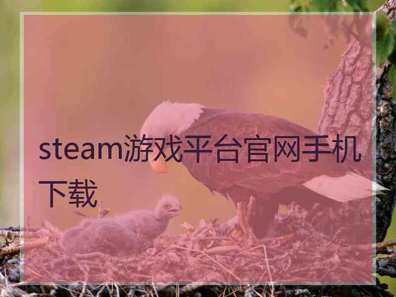 steam游戏平台官网手机下载