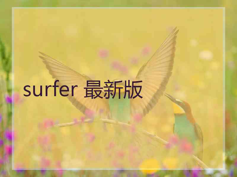 surfer 最新版