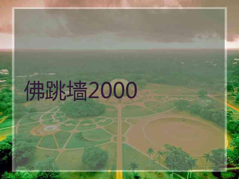 佛跳墙2000