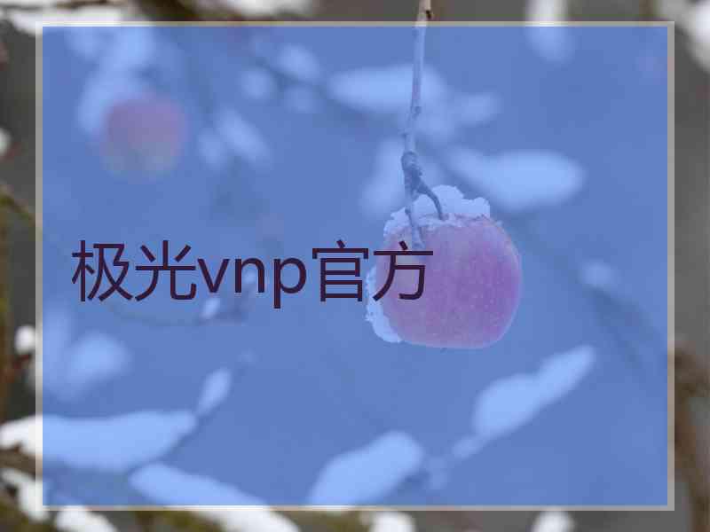 极光vnp官方