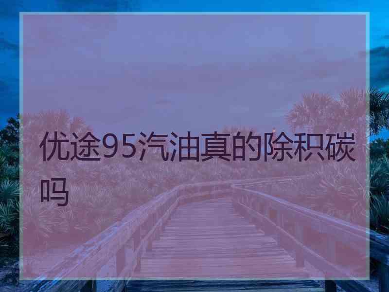 优途95汽油真的除积碳吗