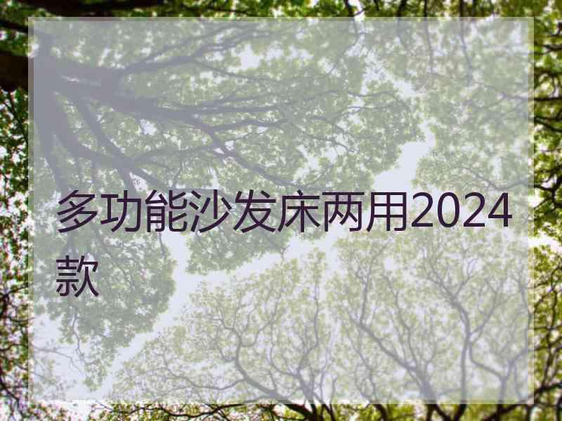 多功能沙发床两用2024款