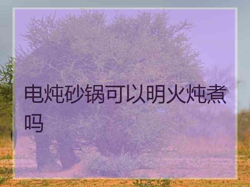 电炖砂锅可以明火炖煮吗