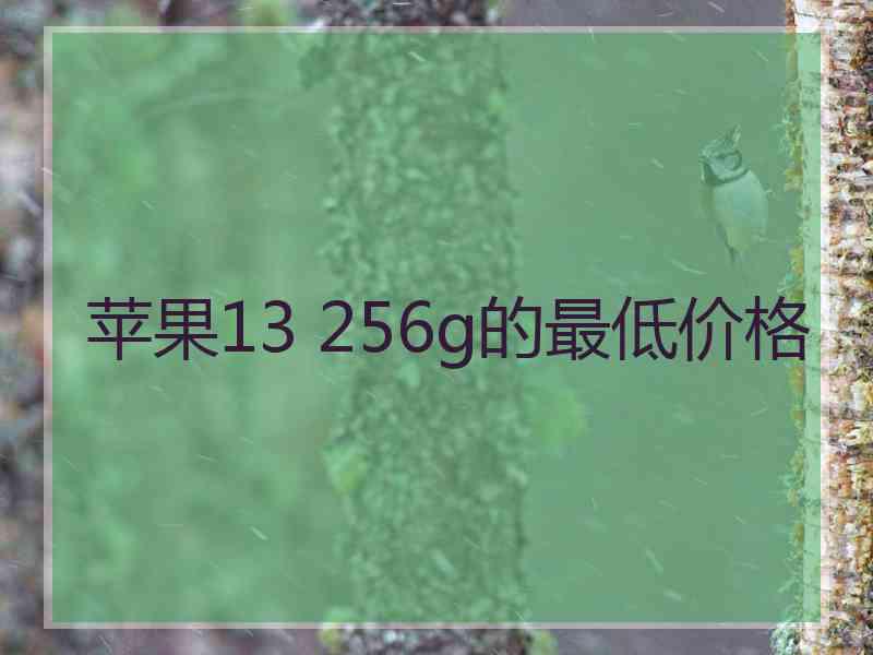 苹果13 256g的最低价格