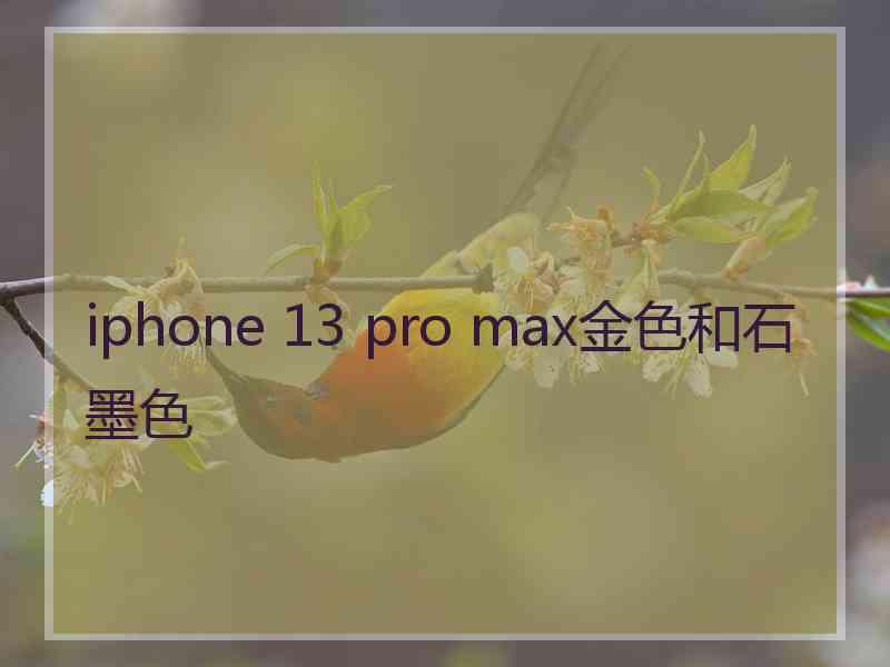 iphone 13 pro max金色和石墨色