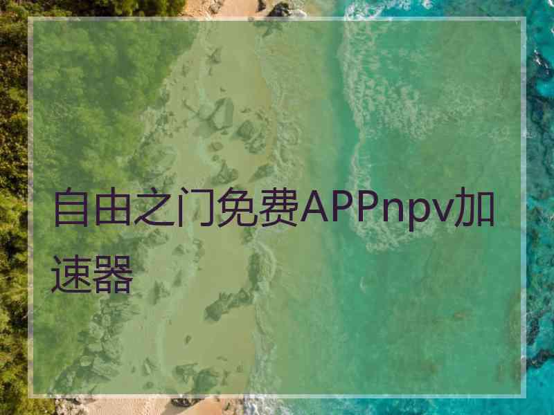 自由之门免费APPnpv加速器