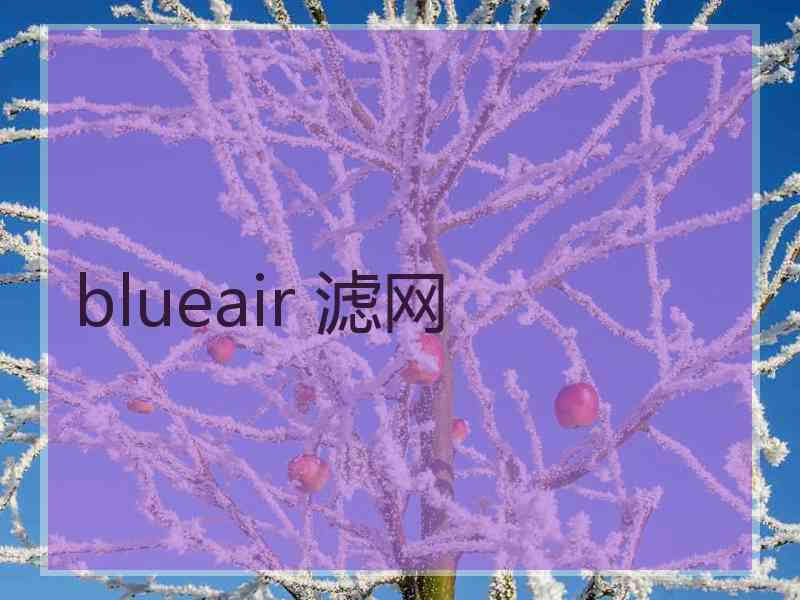 blueair 滤网