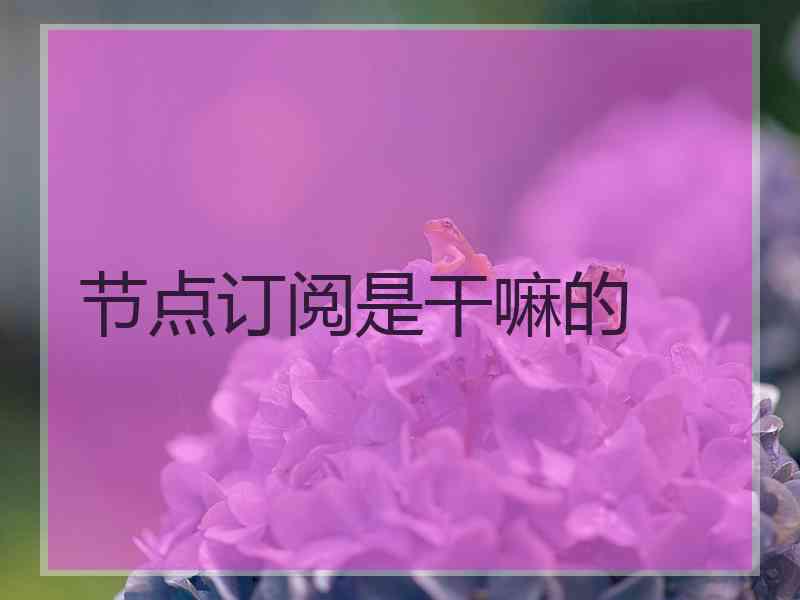 节点订阅是干嘛的