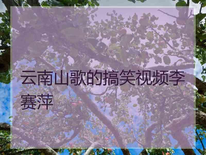 云南山歌的搞笑视频李赛萍