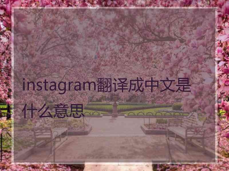 instagram翻译成中文是什么意思