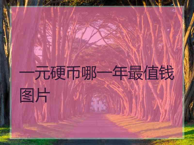 一元硬币哪一年最值钱图片