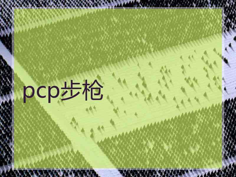 pcp步枪