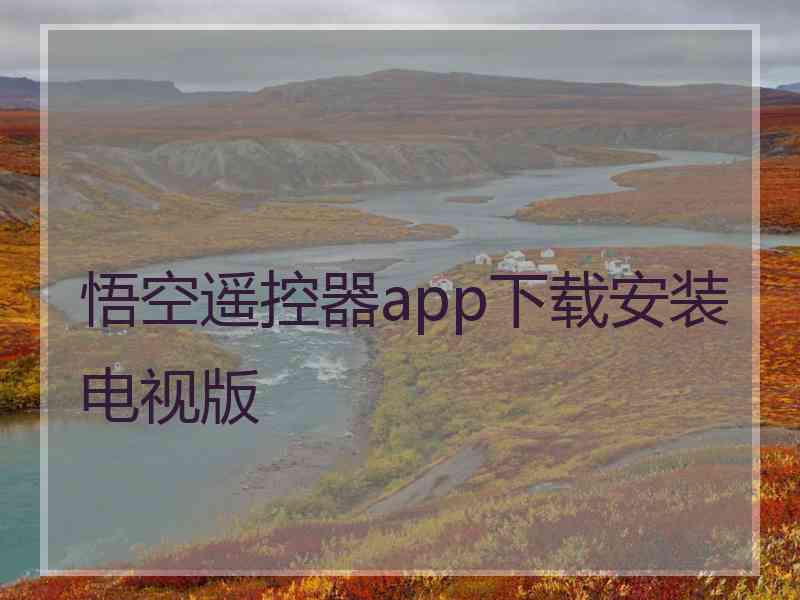 悟空遥控器app下载安装电视版