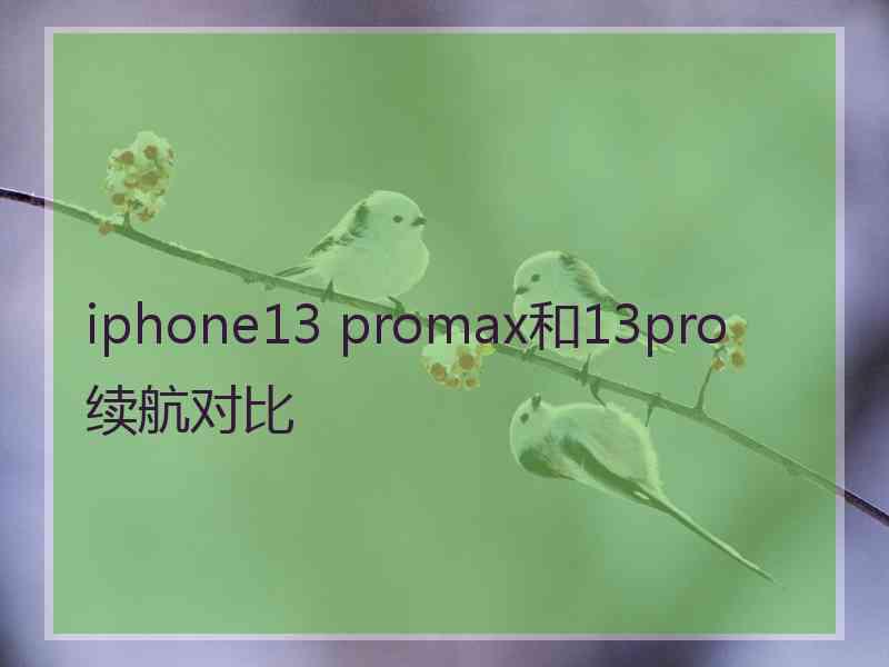 iphone13 promax和13pro续航对比