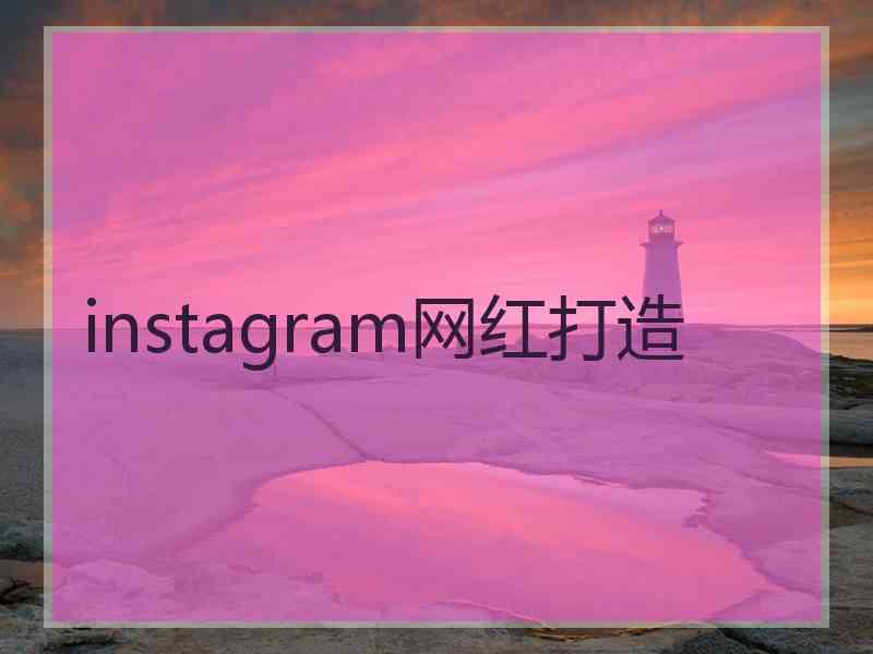 instagram网红打造