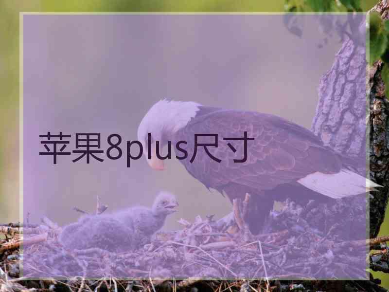 苹果8plus尺寸