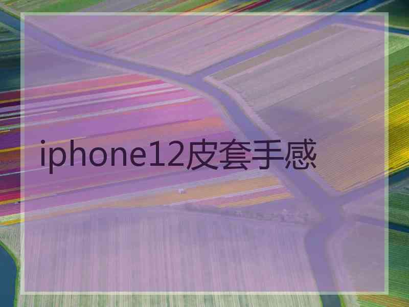 iphone12皮套手感