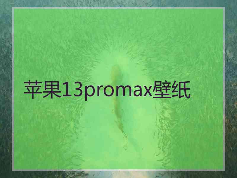 苹果13promax壁纸