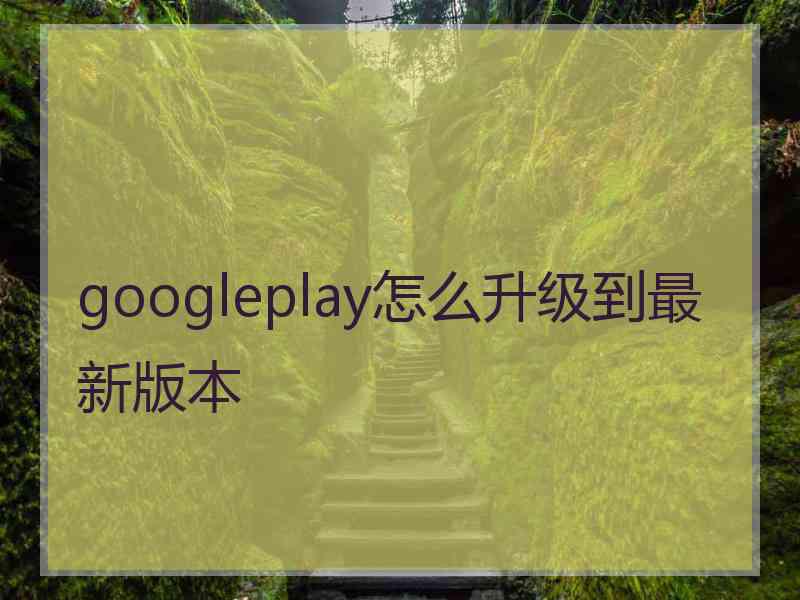 googleplay怎么升级到最新版本