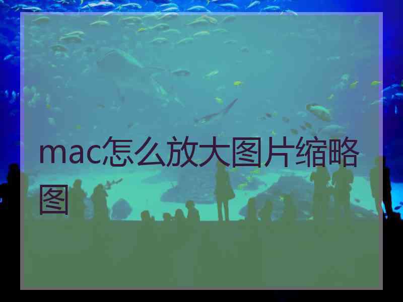 mac怎么放大图片缩略图