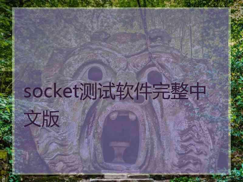 socket测试软件完整中文版