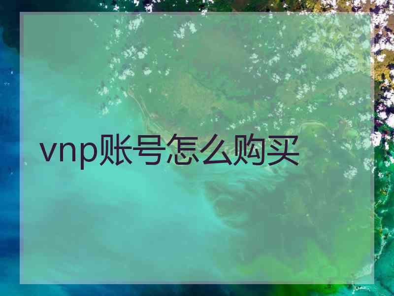 vnp账号怎么购买