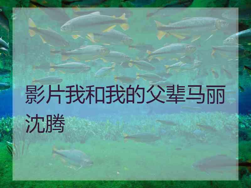 影片我和我的父辈马丽沈腾