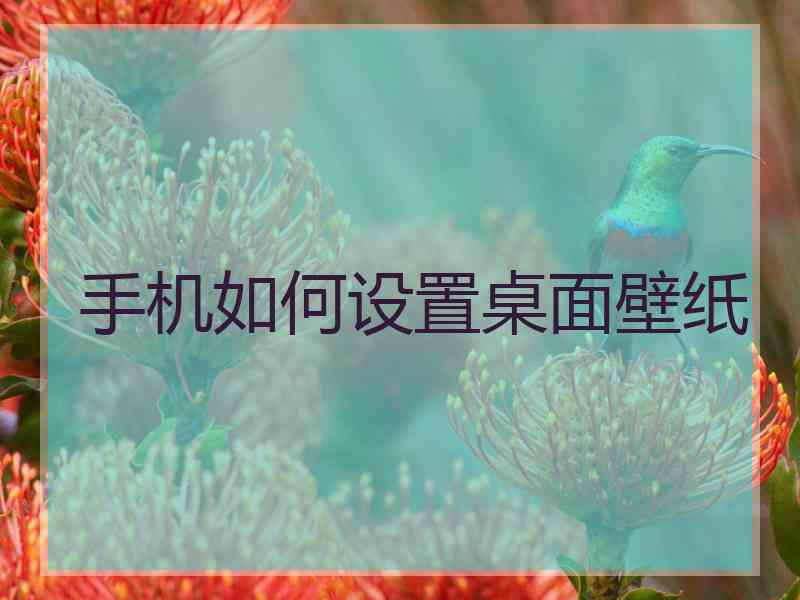 手机如何设置桌面壁纸