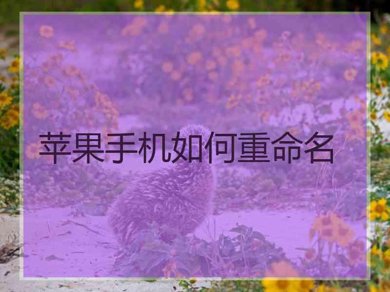 苹果手机如何重命名