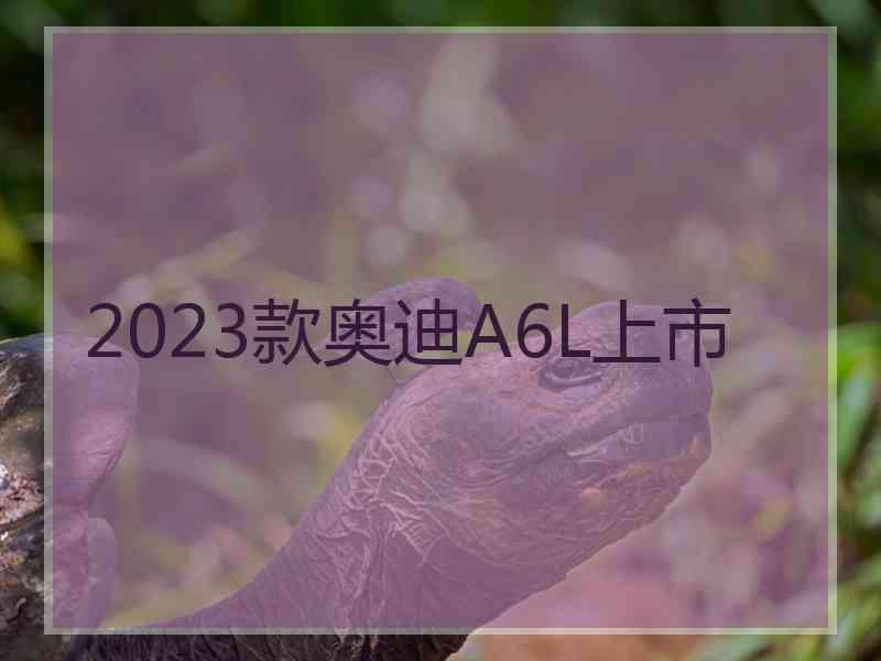 2023款奥迪A6L上市