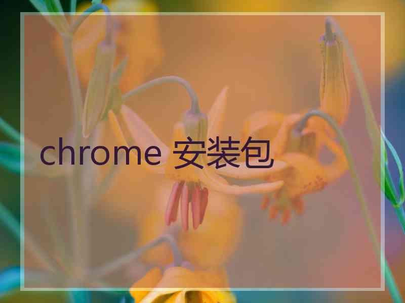 chrome 安装包