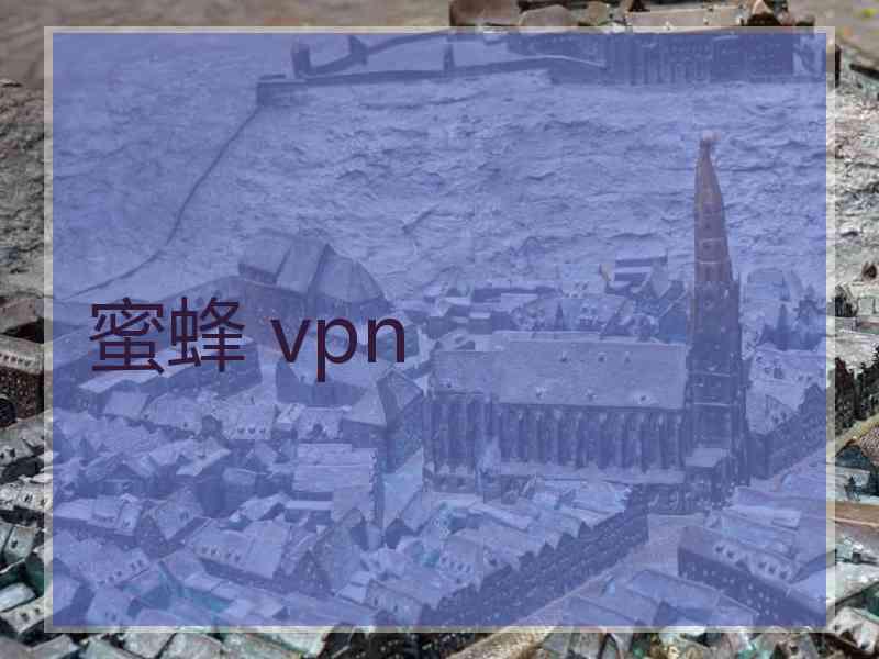 蜜蜂 vpn