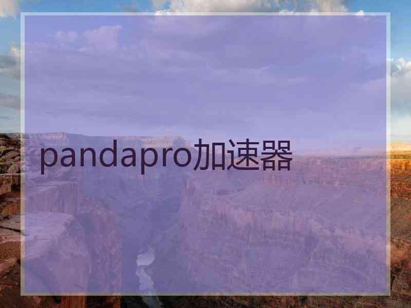 pandapro加速器