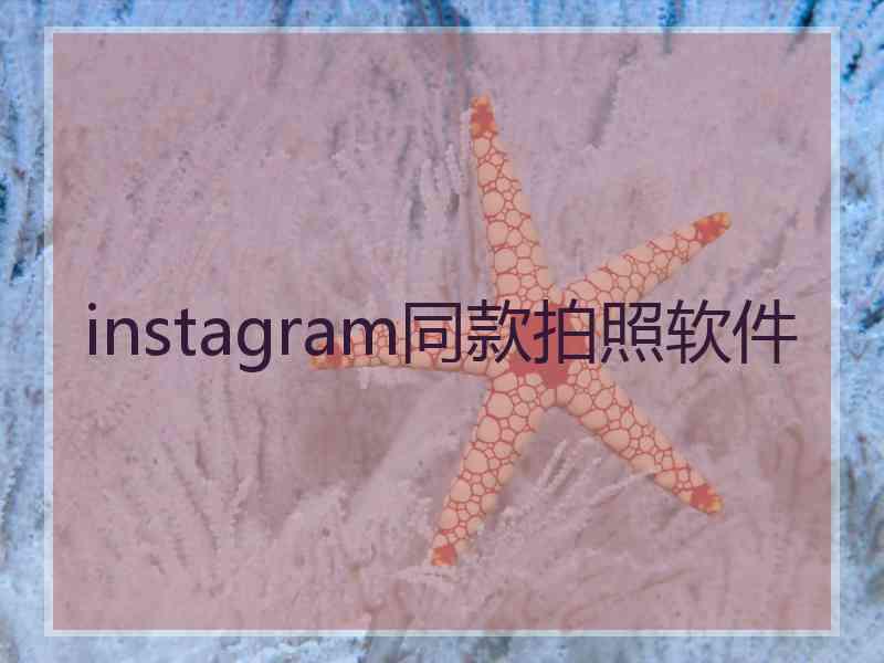 instagram同款拍照软件