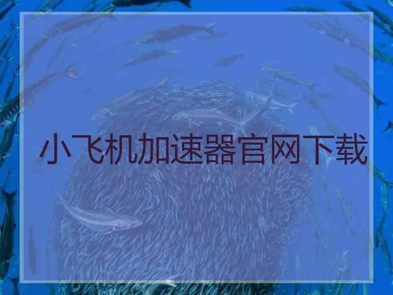 小飞机加速器官网下载