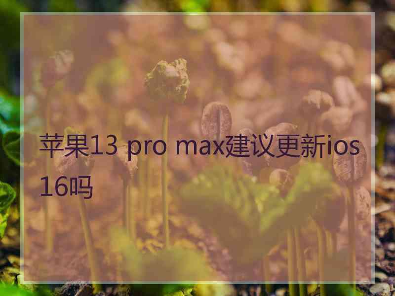 苹果13 pro max建议更新ios16吗