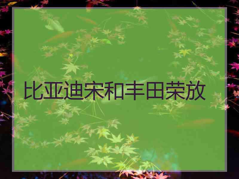 比亚迪宋和丰田荣放