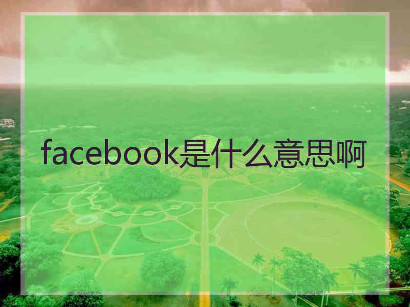 facebook是什么意思啊