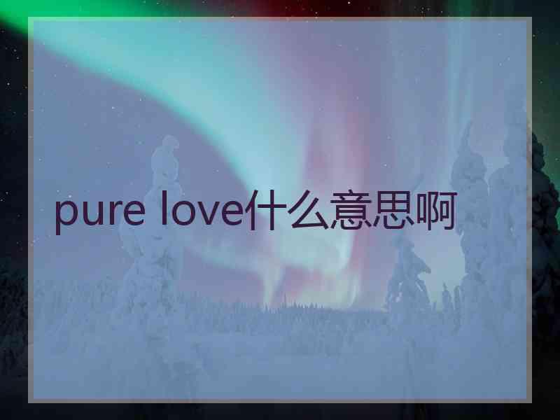 pure love什么意思啊